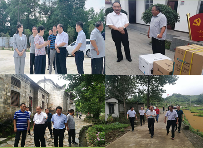 河南省农业农村厅副厅级领导干部杨文明到新县调研指导工作