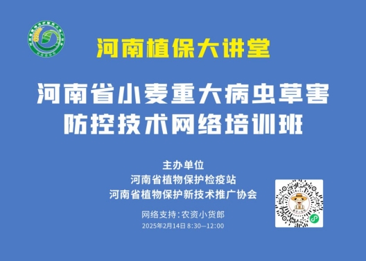 省植保站举办小麦重大病虫草害防控技术网络培训班